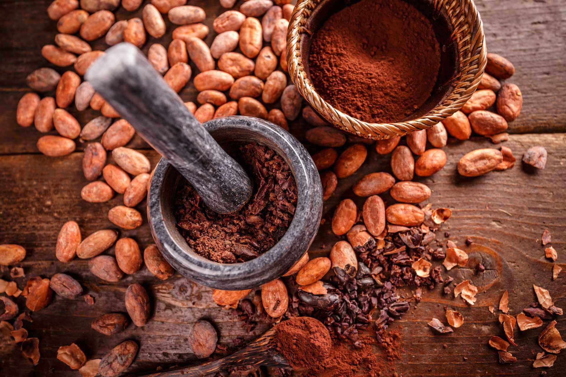 Antica Drogheria - Degustazione del cioccolato con i 5 sensi Fave di cacao in mortaio